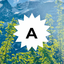 adamiya avatar