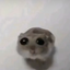 AE700 avatar