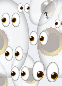 eye