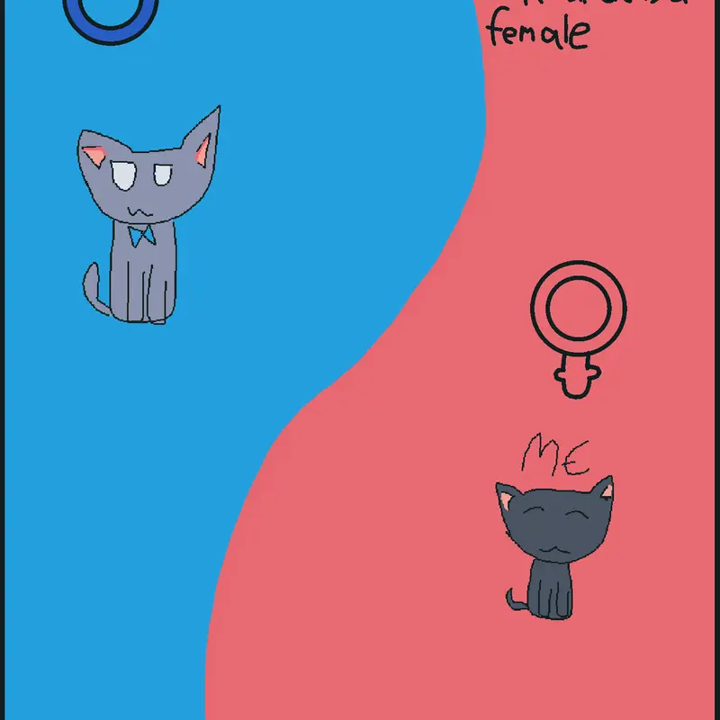 Game by @cattyp