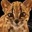 Leopardus_Tilcaio avatar