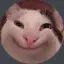Barsikcraft avatar