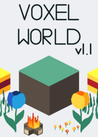 Voxel World