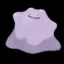 AnonDitto avatar