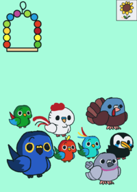 birds parrots