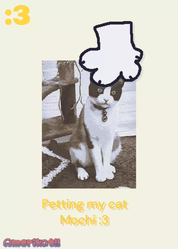 Fbf test by @Amerikat