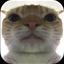 waterslip avatar