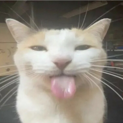 @zaki89