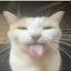 zaki89 avatar
