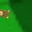 BrankxD avatar