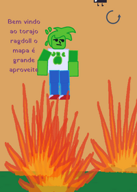 TORAJO RAGDOLL