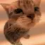 yumis_ avatar