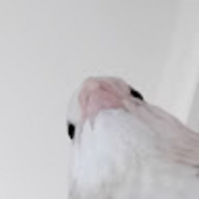 @Hinlord123
