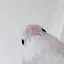 Hinlord123 avatar