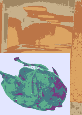 snapshot