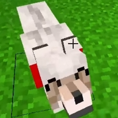 @Minecraft_real_jerry