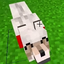 Minecraft_real_jerry avatar