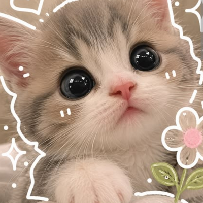 @Elya_44