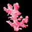Coralbank avatar