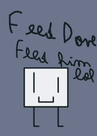 Feed dove!
