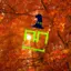A-35_forgottenrooms avatar