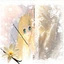 EstheAshley avatar