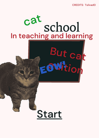 cat school NEW