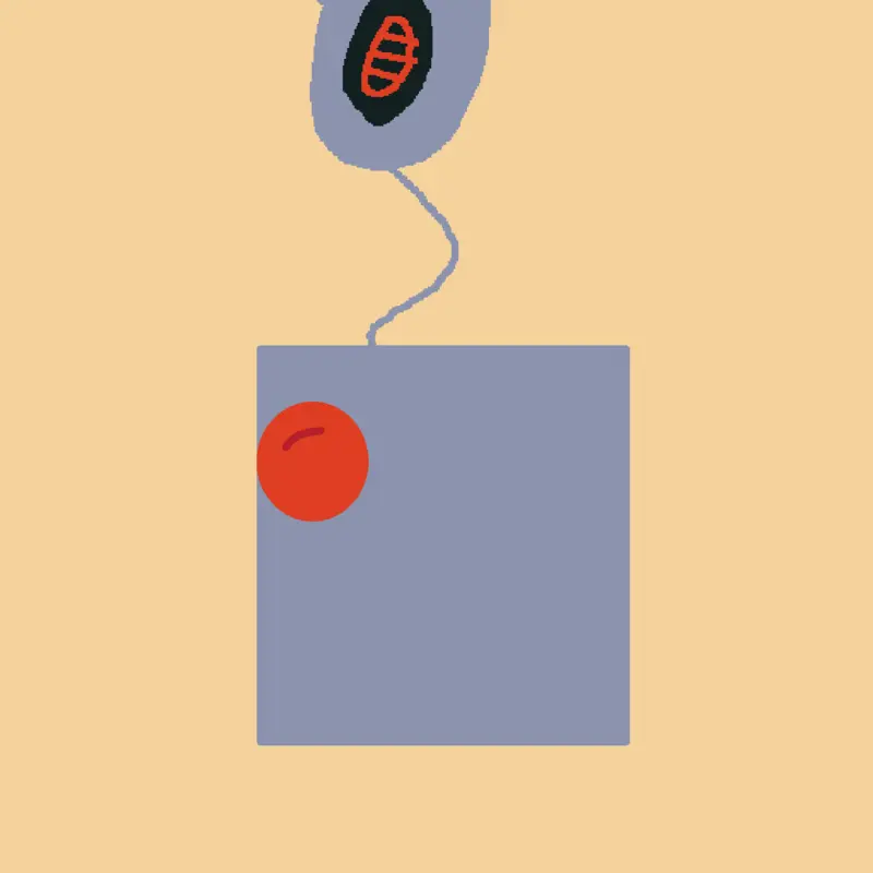 Game by @spider-drum