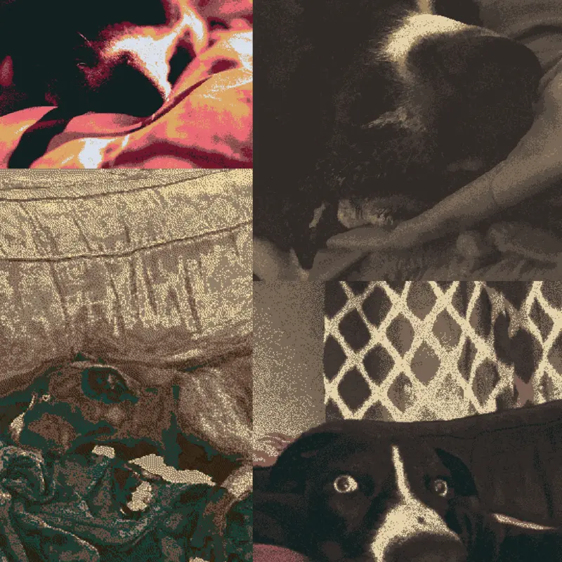 My dog!! made with castle’s dithering by @n0t_tvck