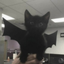 PACKGODD444 avatar