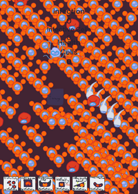 Virus