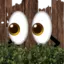 skibidibrresthe avatar