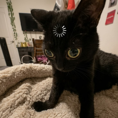 @The_bIack_CaT62