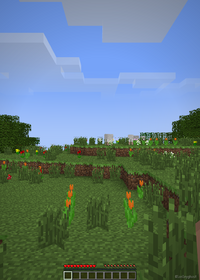 Minecraft In Castle.