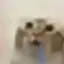 silfurbjarg avatar