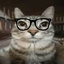 catwithglasses avatar