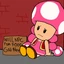 toadette_10 avatar