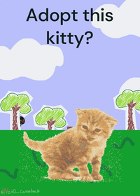 Kitty