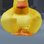 YourNormalDuckYT avatar
