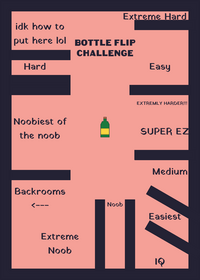 Bottle Flip Challenge