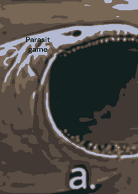 Parasit game