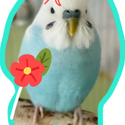 @_loverbirdy__lil_bro_