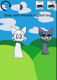 Wenda and gray ragdoll test