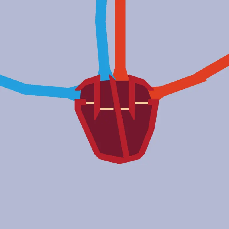 Heart by @ayelden26_2