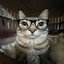 Taplablish_Basic avatar