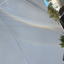 mr-rainbow avatar