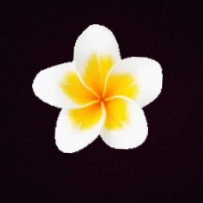 @itstalitha
