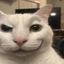 3j1nx avatar