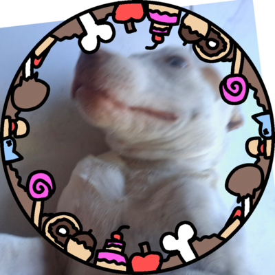 @SammyDog