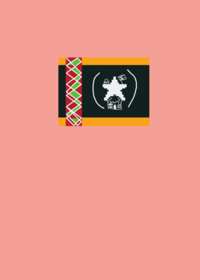 Flag band Invented